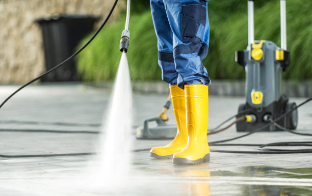Best Pressure Washing Company Near Me  in Bayou Vista, LA